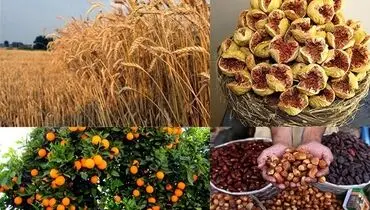مشارکت مردمی، شرط تحقق جهش تولید 