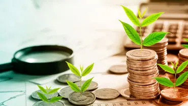 رشد سرمایه‌گذاری برای تولید با تقویت حسابرسی سیستمی