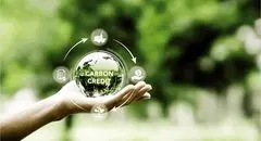 انتشار کربن با ابزارهای بازارمحور کم خواهد شد؟