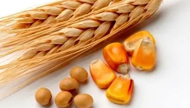 سفر ترامپ به چین؛ از بیزنس ۳۰ میلیارد دلاری تا تقابل بر سر تنگه هرمز
