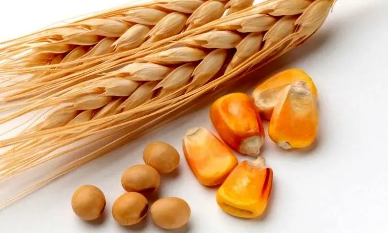 سفر ترامپ به چین؛ از بیزنس ۳۰ میلیارد دلاری تا تقابل بر سر تنگه هرمز
