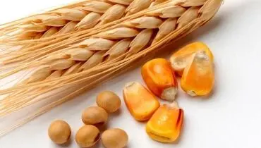 سفر ترامپ به چین؛ از بیزنس ۳۰ میلیارد دلاری تا تقابل بر سر تنگه هرمز
