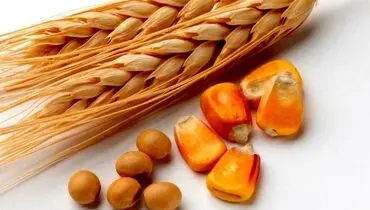 سفر ترامپ به چین؛ از بیزنس ۳۰ میلیارد دلاری تا تقابل بر سر تنگه هرمز
