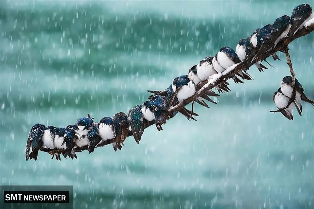 هواشناسی: سامانه بارشی جدید و افت شدید دما در کشور