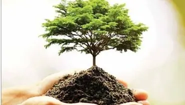 اصلاح قانون معادن، غول تخریب را مهار می‌کند؟