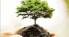 اصلاح قانون معادن، غول تخریب را مهار می‌کند؟