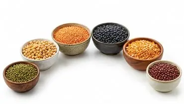 خداحافظی با ضربه‌گیر معیشت