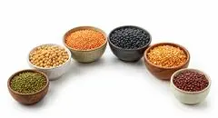 خداحافظی با ضربه‌گیر معیشت
