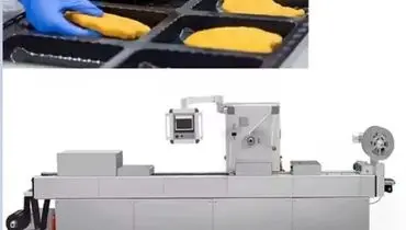 اشتباهات رایج در راه‌اندازی خط ترموفرمینگ و راهکارهای رفع آنها