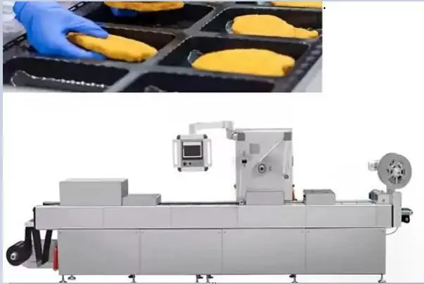 اشتباهات رایج در راه‌اندازی خط ترموفرمینگ و راهکارهای رفع آنها