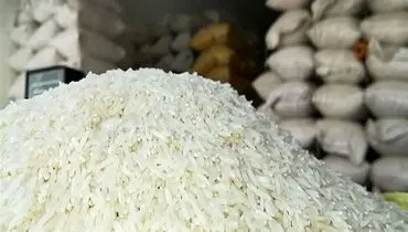 واردات برنج افزایش یافت