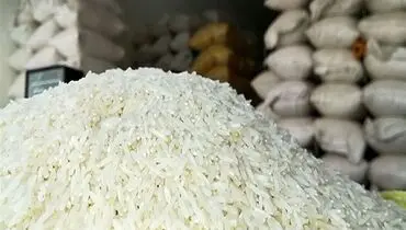 واردات برنج افزایش یافت