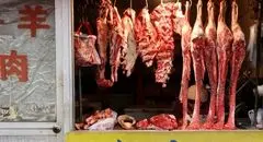 فروش گوشت روباه به‌جای گاو