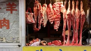 فروش گوشت روباه به‌جای گاو