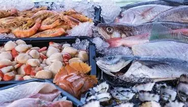 ثبات نسبی در بازار ماهی امروز شنبه ۱۵ شهریور ۱۴۰۴ + جپول
