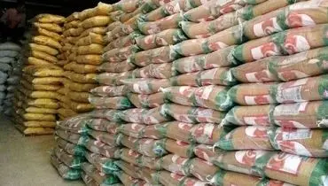 گرانی دوباره برنج؛ ثبت قیمت ۱۴۰ هزار تومانی در چند استان