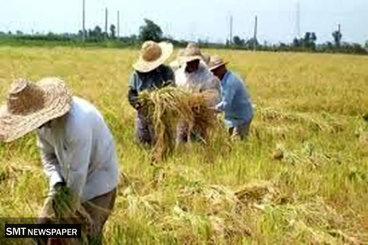 چشم کشاورزان به تصمیم نمایندگان | نوری قزلجه از بهارستان رای اعتماد می گیرد؟