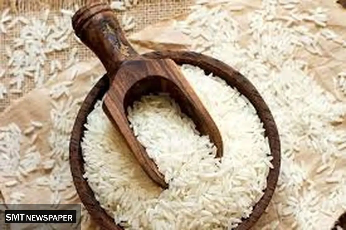 برنج رکورد زد؛ گران‌تر از همیشه؛ اظهارات مقامات در این باره 