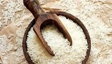 برنج رکورد زد؛ گران‌تر از همیشه؛ اظهارات مقامات در این باره 