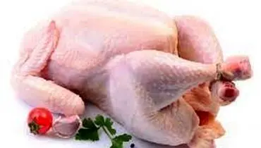 لیست قیمت انواع گوشت مرغ در ۱۸ مرداد ۱۴۰۴ اعلام شد