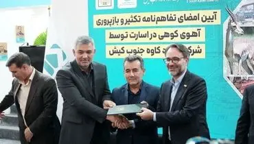 فولاد کاوه؛نجات بخش آهوی کوهی