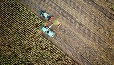 سنگ‌‎اندازی در تولید با هدف افزایش واردات